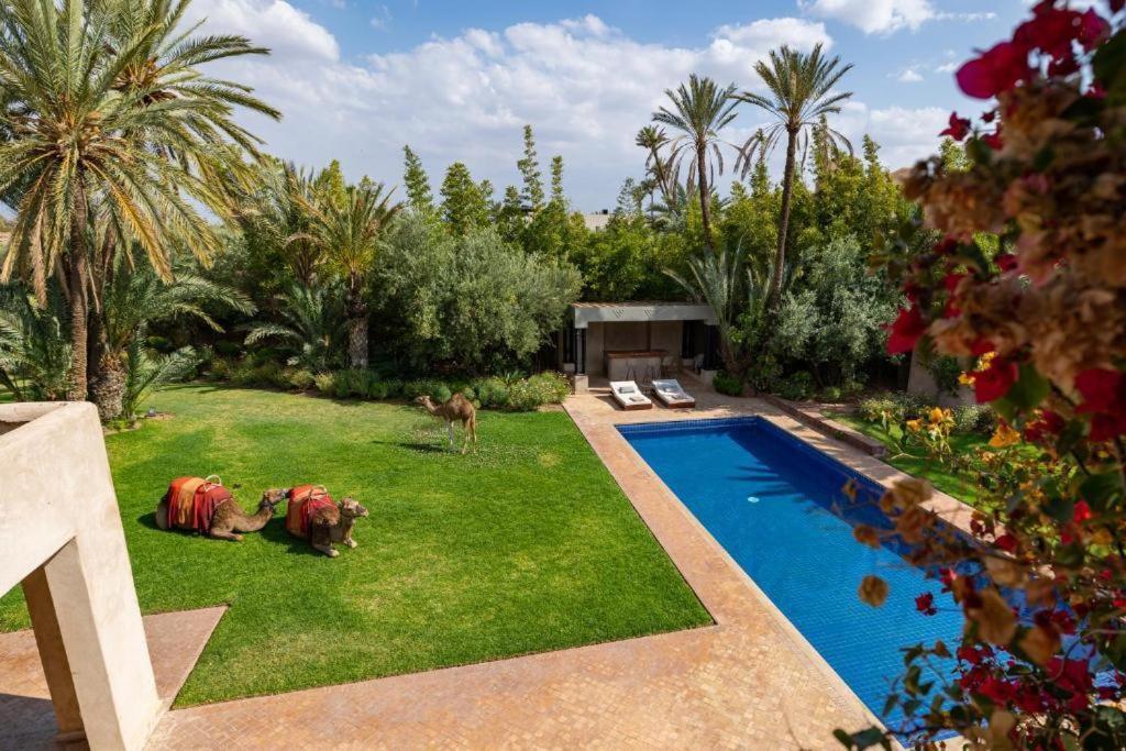 Villa Sahar Palmeraie Avec Piscine Chauffee ! Marrakesh Eksteriør billede